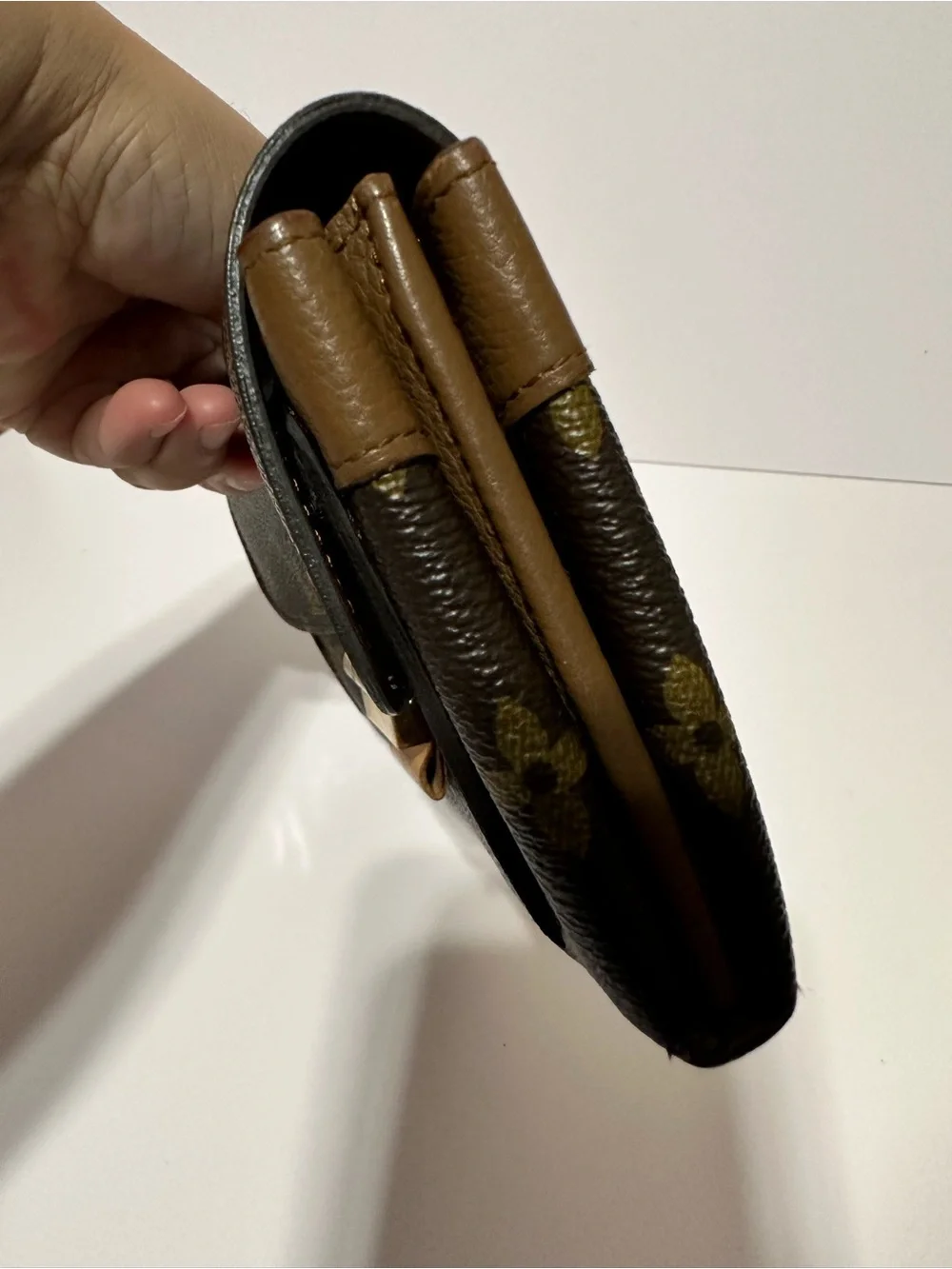 Louis Vuitton classic louis